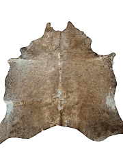 Hakiki Deri Dana Postu