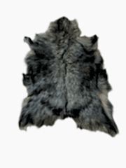 Hakiki Deri Keçi Postu