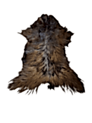 Hakiki Deri Keçi Postu