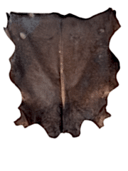 Hakiki Deri Dana Postu