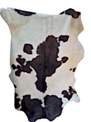 Hakiki Deri Dana Postu